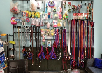 4-pets-Pet-stores-Hisar-Haryana-2