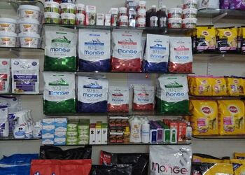 4-pets-Pet-stores-Hisar-Haryana-3