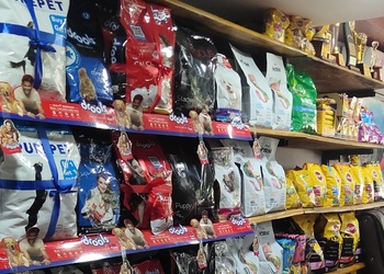 72-the-pet-shoppe-Pet-stores-Vizag-Andhra-pradesh-2