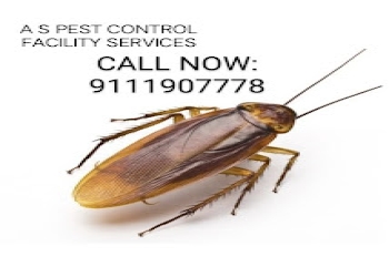 A-s-pest-control-facility-services-Pest-control-services-Raipur-Chhattisgarh-2