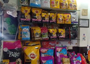 A2z-pets-mania-Pet-stores-Ballupur-dehradun-Uttarakhand-1