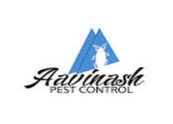 Aavinash-pest-control-Pest-control-services-Kodambakkam-chennai-Tamil-nadu-1