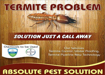 Absolute-pest-solution-Pest-control-services-Rajguru-nagar-ludhiana-Punjab-1