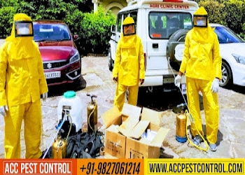 Acc-pest-control-bhopal-Pest-control-services-Chuna-bhatti-bhopal-Madhya-pradesh-2