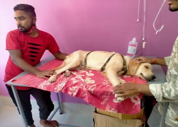 Agartala-vet-clinic-Veterinary-hospitals-Agartala-Tripura-2