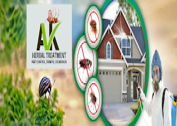 Ak-pest-control-Pest-control-services-Chandigarh-Chandigarh-2