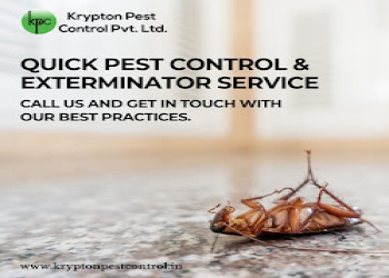 Aliganj-pest-control-solutions-Pest-control-services-Aliganj-lucknow-Uttar-pradesh-2