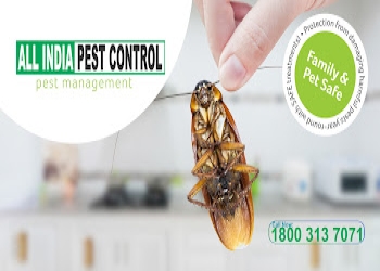 All-india-pest-control-Pest-control-services-New-delhi-Delhi-2