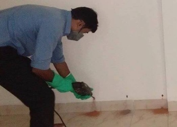 Amicare-services-private-limited-Pest-control-services-Aluva-kochi-Kerala-3