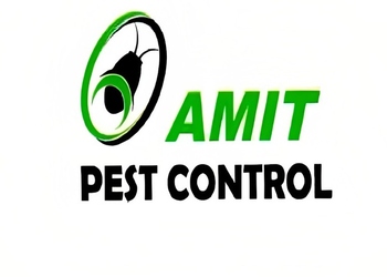 Amit-pest-control-Pest-control-services-Ambad-nashik-Maharashtra-1