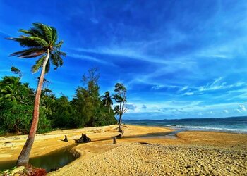 Andaman-ocean-tours-and-travels-Travel-agents-Andaman-Andaman-and-nicobar-islands-2