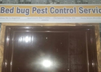 Angelina-pest-control-services-Pest-control-services-Vile-parle-mumbai-Maharashtra-1