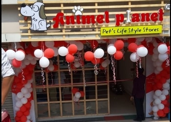 Animel-planet-Pet-stores-Sevoke-siliguri-West-bengal-1