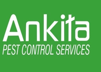 Ankita-pest-control-services-Pest-control-services-Versova-mumbai-Maharashtra-1