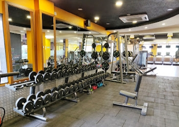 Anytime-fitness-Gym-New-delhi-Delhi-2