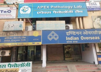 Apex-pathology-lab-Diagnostic-centres-Korba-Chhattisgarh-1