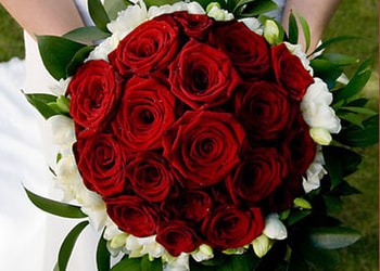 Arena-flowers-kolkata-Flower-shops-Bhowanipur-kolkata-West-bengal-1