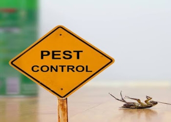 Arise-pest-control-services-Pest-control-services-Dilsukhnagar-hyderabad-Telangana-1