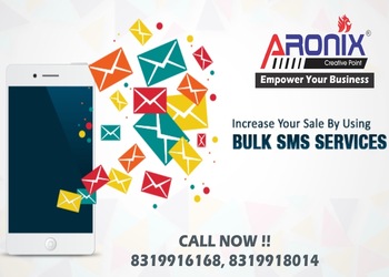 Aronix-Digital-marketing-agency-Sector-10-bhilai-Chhattisgarh-2