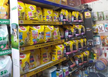 Arora-pet-shop-Pet-stores-Faridabad-Haryana-2