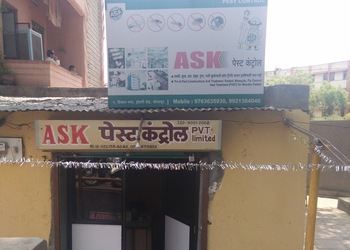 Ask-pest-control-pvt-ltd-Pest-control-services-Solapur-Maharashtra-1