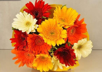 Asson-florist-Flower-shops-Vadodara-Gujarat-2