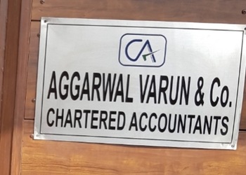 Avc-india-Chartered-accountants-Sector-45-gurugram-Haryana-1