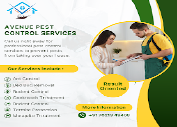 Avenue-pest-control-solutions-Pest-control-services-Warje-pune-Maharashtra-2