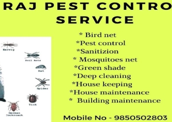 Balaji-pest-control-services-Pest-control-services-Katraj-pune-Maharashtra-1