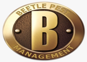 Beetle-pest-management-Pest-control-services-Dugri-ludhiana-Punjab-1