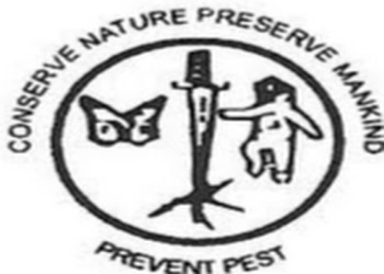 Best-pest-control-service-Pest-control-services-Sector-41-noida-Uttar-pradesh-1