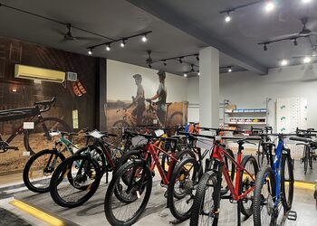 Bicycle-adda-Bicycle-store-Dlf-phase-3-gurugram-Haryana-2