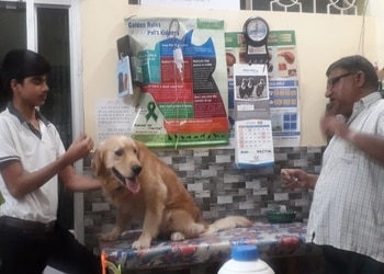 Blue-cross-pet-clinic-Veterinary-hospitals-Mangla-bilaspur-Chhattisgarh-3