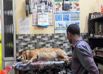 Blue-cross-pet-clinic-Veterinary-hospitals-Nehru-nagar-bilaspur-Chhattisgarh-2