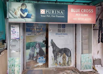 Bluecross-pet-clinic-Veterinary-hospitals-Maninagar-ahmedabad-Gujarat-1