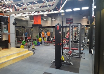 Body-mechanics-Gym-Janakpuri-delhi-Delhi-2