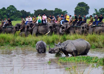 Cabinnortheast-Taxi-services-Dispur-Assam-2