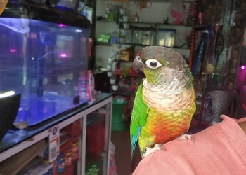 Canins-aquarium-pet-shop-Pet-stores-Kankanady-mangalore-Karnataka-2