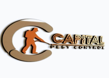 Capital-pest-control-Pest-control-services-Yeshwanthpur-bangalore-Karnataka-1