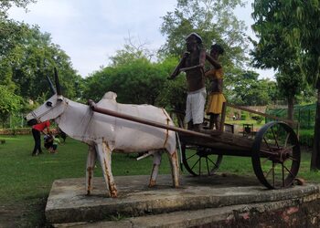 Chinar-park-Public-parks-Bhopal-Madhya-pradesh-2