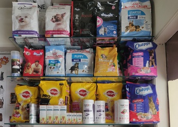 Chirps-whistle-Pet-stores-Sector-46-gurugram-Haryana-2