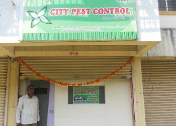 City-pest-control-Pest-control-services-Pune-Maharashtra-1