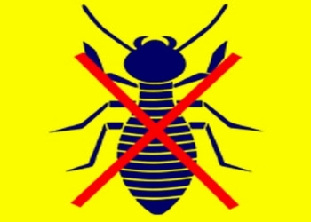 City-pest-control-services-Pest-control-services-Chennai-Tamil-nadu-1