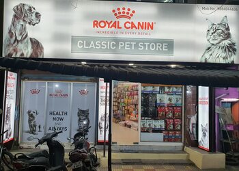 Classic-pet-store-Pet-stores-Egmore-chennai-Tamil-nadu-1