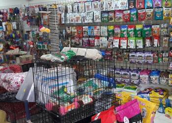 Classic-pet-store-Pet-stores-T-nagar-chennai-Tamil-nadu-2