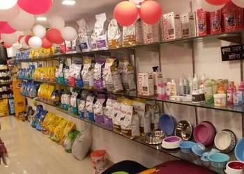 Claws-n-paws-pets-mart-Pet-stores-Varanasi-Uttar-pradesh-2