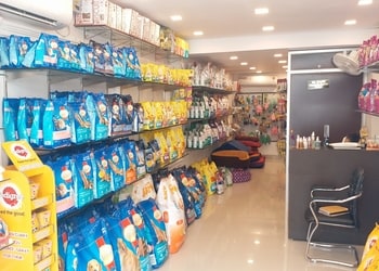 Claws-n-paws-pets-mart-Pet-stores-Varanasi-Uttar-pradesh-3