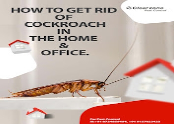 Clearzone-pest-control-Pest-control-services-Sabarmati-ahmedabad-Gujarat-2