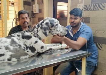 Cotton-city-pets-poly-clinic-Veterinary-hospitals-Coimbatore-Tamil-nadu-2