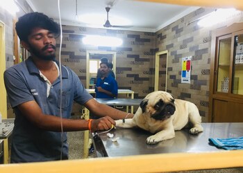 Cotton-city-pets-poly-clinic-Veterinary-hospitals-Coimbatore-Tamil-nadu-3